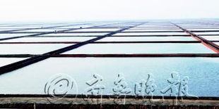 匯泰集團 以海水養殖技術研發引領環境友好型企業建設