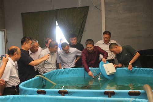 智能化養(yǎng)殖裝備與智慧管理平臺(tái)開(kāi)發(fā)成果通過(guò)驗(yàn)收，助推海水養(yǎng)殖技術(shù)研發(fā)升級(jí)