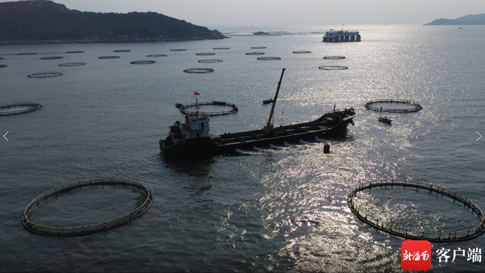 農發行海南省分行33.04億元貸款助推南繁種業與海水養殖技術振興