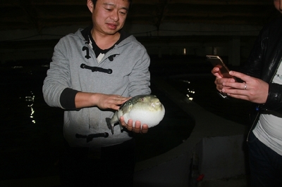 大連啟航“海魚(yú)陸?zhàn)B”保險(xiǎn)，海水養(yǎng)殖技術(shù)研發(fā)迎來(lái)新機(jī)遇