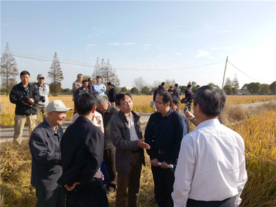 發(fā)揮學(xué)科優(yōu)勢(shì)，助力崇明建設(shè)——化分學(xué)院分析-物化聯(lián)合黨支部“主題黨日”活動(dòng)聚焦海水養(yǎng)殖技術(shù)研發(fā)